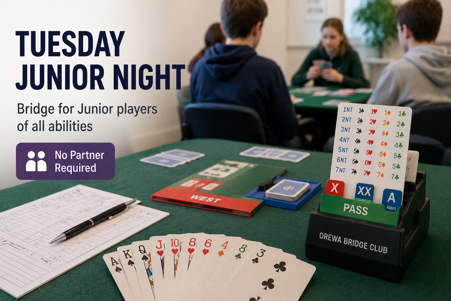 Junior players enjoying Tuesday Night bridge at Orewa Bridge Club