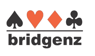 BridgeNZ Logo